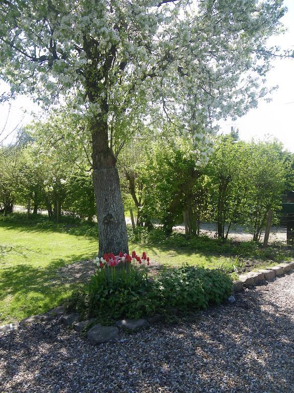 La Griotte & Spa&piscine Pennedepie